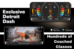 MAXPRO Smart Portable Cable Machine 5-300Lbs Resistance + Free App ...