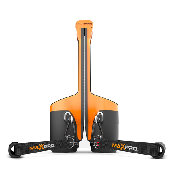 MAXPRO Base Model